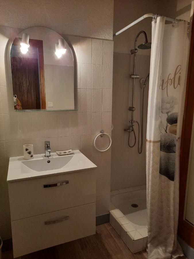 Gite Le Cozillon Cozes エクステリア 写真